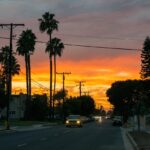 la